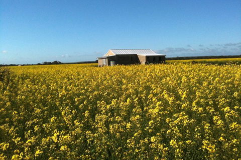 Fine Flavours - Full Day Kangaroo Island Food & Wine Tour - Accommodation Cairns 11