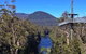 Tahune Airwalk Active Day Trip From Hobart Including Hastings Caves - thumb 6