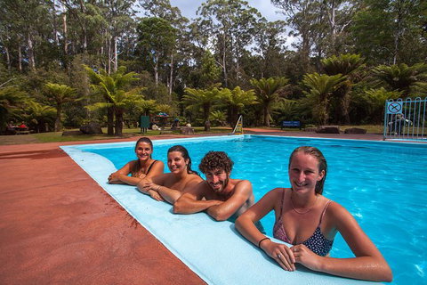 Tahune Airwalk Active Day Trip From Hobart Including Hastings Caves - Accommodation Cairns 4