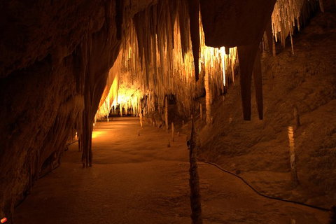 Tahune Airwalk Active Day Trip From Hobart Including Hastings Caves - Accommodation Cairns 8