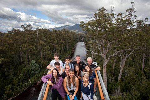 Tahune Airwalk Active Day Trip From Hobart Including Hastings Caves - Accommodation Cairns 1