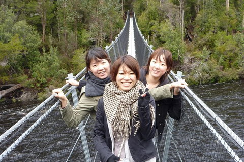 Tahune Airwalk Active Day Trip From Hobart Including Hastings Caves - Accommodation Cairns 7