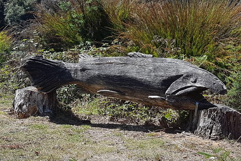 Cruise Ship Excursion: Gourmet Food & Wine - Accommodation Cairns 10