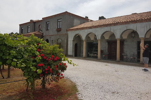 Cruise Ship Excursion: Gourmet Food & Wine - Accommodation Cairns 18