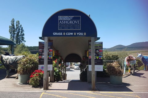 Cruise Ship Excursion: Gourmet Food & Wine - Accommodation Cairns 8