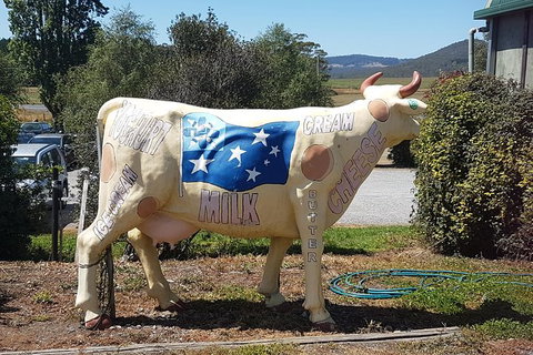 Cruise Ship Excursion: Gourmet Food & Wine - Accommodation Cairns 12