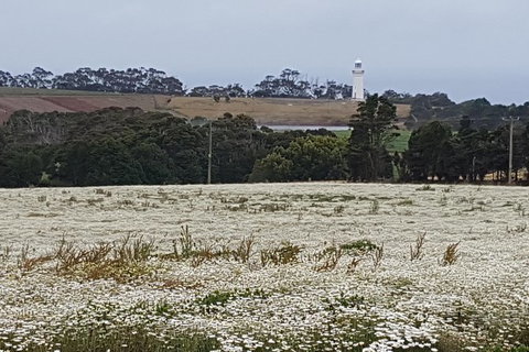 Cruise Ship Excursion: NW Tassie Coastal Explorer - Accommodation Cairns 14