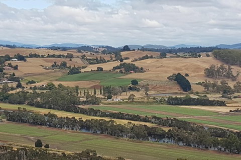 Cruise Ship Excursion: NW Tassie Coastal Explorer - Accommodation Cairns 6