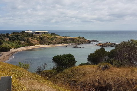 Cruise Ship Excursion: NW Tassie Coastal Explorer - Accommodation Cairns 13