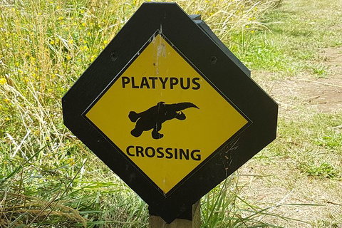 Cruise Ship Excursion: NW Tassie Coastal Explorer - Accommodation Cairns 11