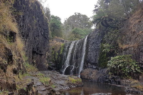 Cruise Ship Excursion: NW Tassie Coastal Explorer - Accommodation Cairns 16