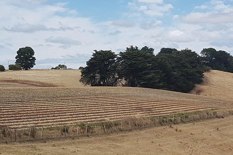 Cruise Ship Excursion: NW Tassie Coastal Explorer - Accommodation Cairns 9