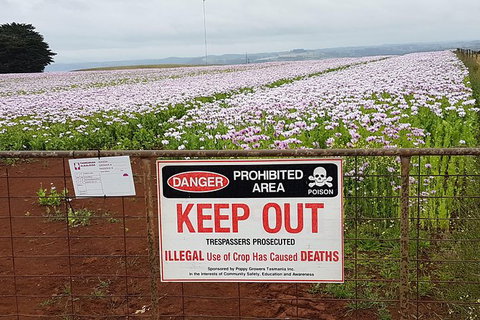 Cruise Ship Excursion: NW Tassie Coastal Explorer - Accommodation Cairns 10