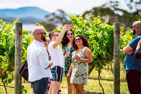 Hobart: Highlights Of Tasmanian Wine Full Day Tour - Accommodation Cairns 3