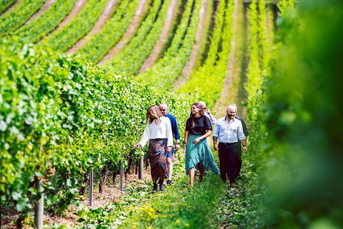 Hobart: Highlights Of Tasmanian Wine Full Day Tour - Accommodation Cairns 0