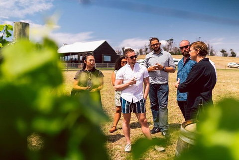 Hobart: Highlights Of Tasmanian Wine Full Day Tour - Accommodation Cairns 2