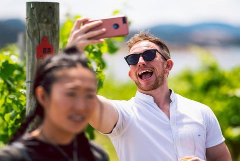 Hobart: Highlights Of Tasmanian Wine Full Day Tour - Accommodation Cairns 1