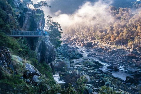3.5 Hours Walking Tour To Cataract Gorge With Local Guide - Accommodation Cairns 0