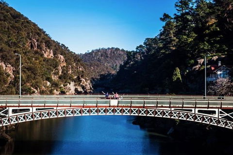 3.5 Hours Walking Tour To Cataract Gorge With Local Guide - Accommodation Cairns 5