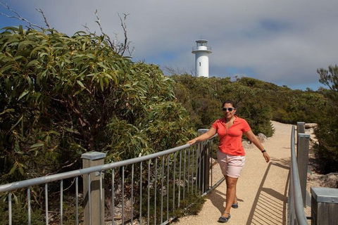 Half-Day Tour To Wineglass Bay From Launceston With Guide - Accommodation Cairns 2