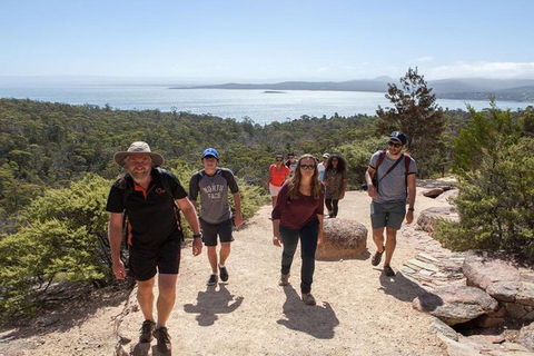 Half-Day Tour To Wineglass Bay From Launceston With Guide - Accommodation Cairns 4