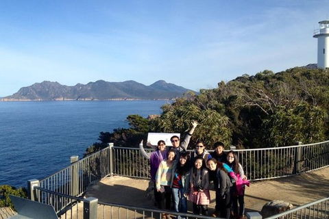 Half-Day Tour To Wineglass Bay From Launceston With Guide - Accommodation Cairns 3