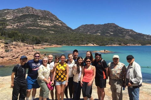 Half-Day Tour To Wineglass Bay From Launceston With Guide - Accommodation Cairns 0
