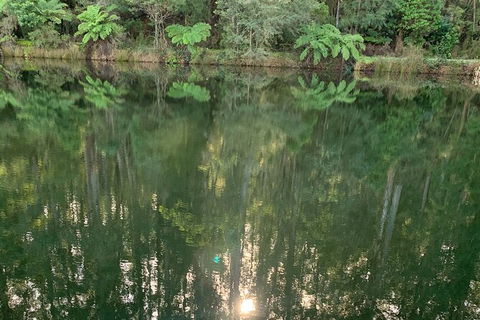 Hiking Tour To Aqueduct And Warburton Valley Lookout - Accommodation Cairns 2