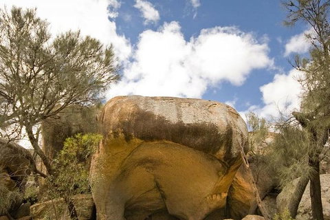 Wave Rock, York, Wildflowers, And Aboriginal Cultural Day Tour From Perth - Accommodation Cairns 2