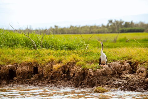 Darwin City Sights And Jumping Crocodile Cruise - Accommodation Cairns 5