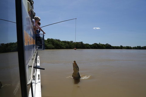 Darwin City Sights And Jumping Crocodile Cruise - Accommodation Cairns 2