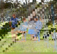 Organic Vineyard/Farm Tour - Accommodation Cairns