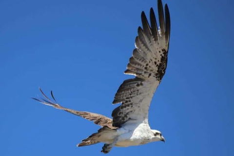 Romance Aircraft Flight + Scenic Tour + 3 Course Lunch + Beer Tasting + Hamper - Accommodation Cairns 4