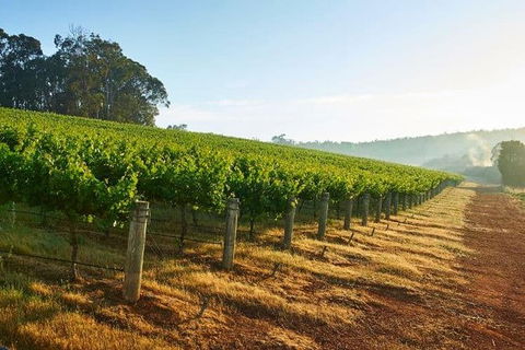 Botanical Gardens, Winery And Scenic Full Day Tour - Accommodation Cairns 2