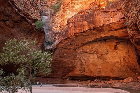 Bungles Day Trek Extended (with Echidna Chasm) - Accommodation Cairns 0