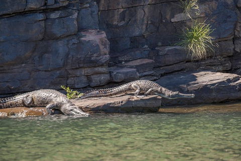 Ord River Discoverer With Sunset - Accommodation Cairns 6