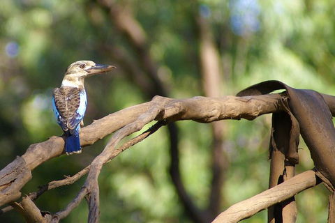 Ord River Experience With Riverside Lunch - Accommodation Cairns 1