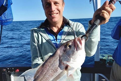 Geraldton Fishing Charter - Accommodation Cairns 6