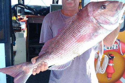 Geraldton Fishing Charter - Accommodation Cairns 10