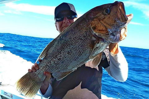 Geraldton Fishing Charter - Accommodation Cairns 4