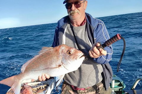 Geraldton Fishing Charter - Accommodation Cairns 8