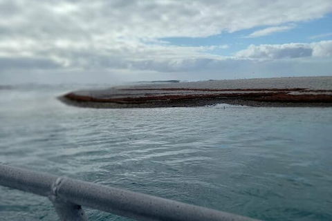 Abrolhos Islands Fishing Charter - Accommodation Cairns 6