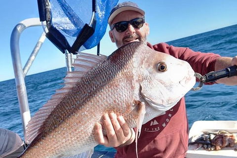 Abrolhos Islands Fishing Charter - Accommodation Cairns 9