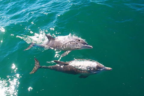 Sailing Kayak Adventure Through The Peel Harvey Estuary - Accommodation Cairns 1