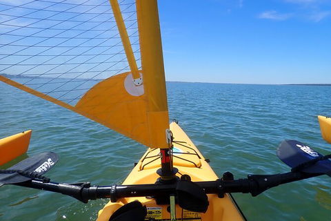 Sailing Kayak Adventure Through The Peel Harvey Estuary - Accommodation Cairns 2