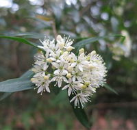 Booderee National Park - Accommodation Cairns