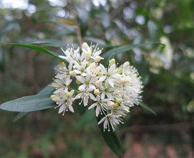 Booderee National Park - Accommodation Cairns 0