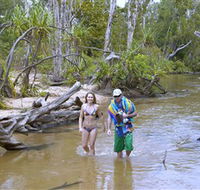 Tjuwaliyn / Douglas Hot Springs Park - Accommodation Cairns