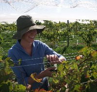 Kingsdale Wines - Accommodation Cairns