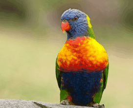 Booderee National Park - Accommodation Cairns 1